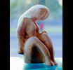 Sculpture 11